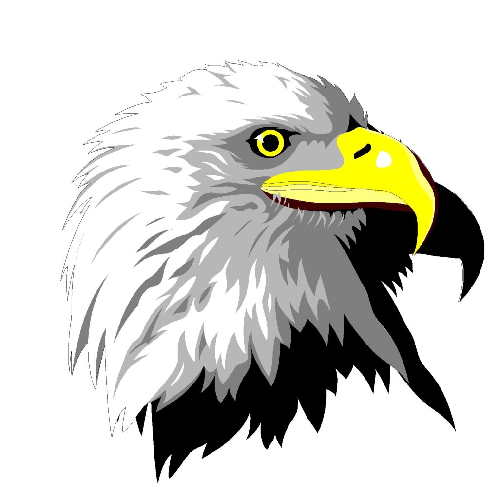 Miami Eagles Basketball